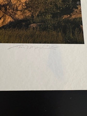 THE NATURAL WORLD ( Signed Limited Edition ) by Thomas D. Mangelsen #183/500