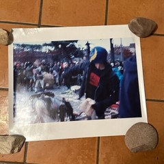 Janine Gordon Photograph 60″x72″ C-print Edition Grid Bike Kill Signed Fine Art