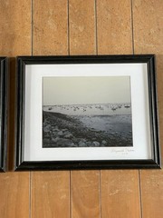 2 Signed Black & White Nautical Harbor Photos, Matted & Framed Set (2013)