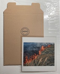 SIGNED GILLES PERESS FIRE LOUISIANA, 2016 MAGNUM 6″ SQUARE PRINT 2018 NEW