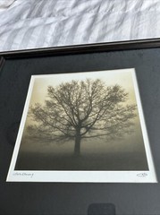 Richard Calvo «Awakening» Glass framed Photo Print 8”x8” OD 15”X7” Signed