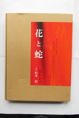 many stills from the movie «Flower and Snake» featuring Aya Sugimoto (actress)
