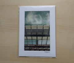 Matted Photo Print San Francisco Science Museum Modern Photography Home Decor