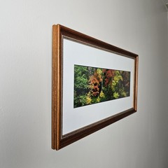 ART – Signed Gary Love Photograph 21.75×11.75 Framed Landscape Art – Maine Trees