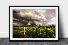 Storm Photography Print: Nebraska Vineyard Grape Vines Thunderstorm Photo