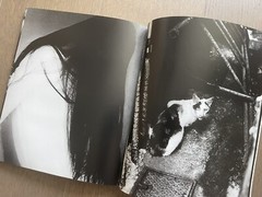 🎈Mega RARE Daido Moriyama – Dulce Equis Negra, 2006 Buenos Aires Photo Magazine