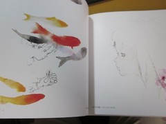Chihiro Iwasaki Art Illustrations Book Girl Dreaming Japan 1997