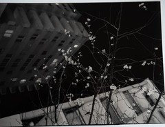 Printing Photo Analogue France View’ Artist Dark Town 11 13/16×15 11/16in 1960