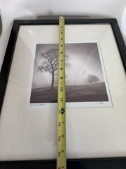 Richard Calvo ‘In Just Spring’ Framed Black & White Landscape Tree Photograph