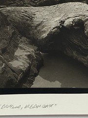 Jim Fitzgerald Driftwood Oregon Coast Signed Photograph Carbon Transfer