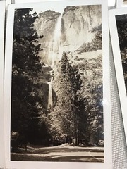 VTG Yosemite photo lot original snapshots lot of 9 retro travels Nature v2828