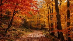 Digital Image Picture Photo Wallpaper Background Desktop AI Art Sample Product