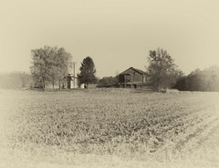 LANDSCAPES 8.5×11 or 13X19 BORDERLESS GLOSSY PRINT (FREE SHIPPING)
