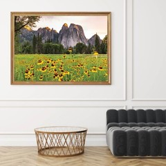 Yosemite Valley Sunflowers, Wildflowers in The Meadows, Yosemite National Park