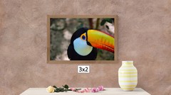 Toucan in the Wild, High Resolution Image, Many Formats, TV Art