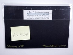 Boris Starosta 3D Stereoview – Stormy 628 – nude black model signed 2004 #428