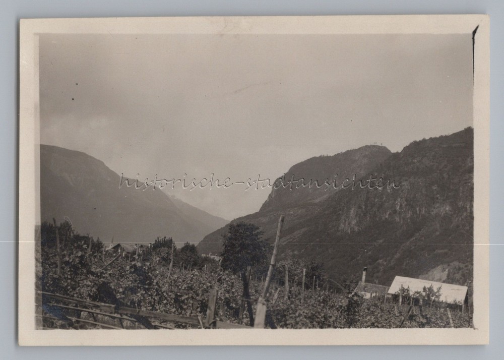 Bolzano Gries Italy 1929 – Wine Field Farmhouse – Old Photo 1920s