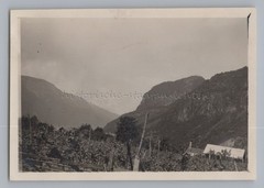 Bolzano Gries Italy 1929 – Wine Field Farmhouse – Old Photo 1920s