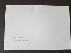 ALT!!photograph Lynn saville 14.9×10.1 cm sculptures moma with sheet gallery fia