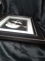 Original Art Black And White Photo (8×10) Matted And Framed 17.25×14.5 NOLA Mask