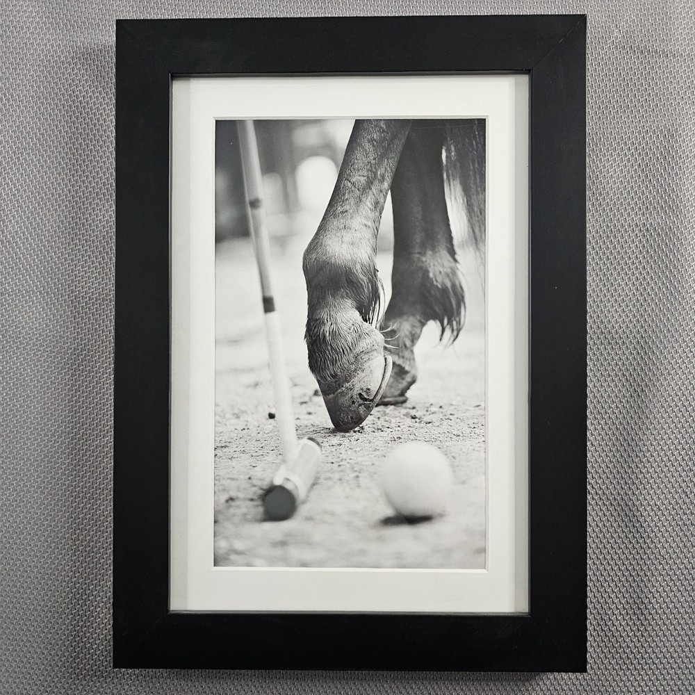 Framed B&W Photo Print Polo Hooves Luxury Real Estate Office 10.2″× 14.1″ READ⬇