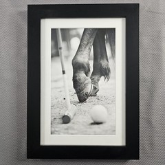 Framed B&W Photo Print Polo Hooves Luxury Real Estate Office 10.2″× 14.1″ READ⬇