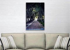 «Trunnel» Photography Wall Art & Prints