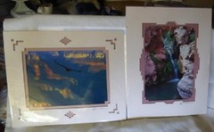 Vintage James Thomson Color Photos Grand Canyon Calif Condor & Arizona Waterfall