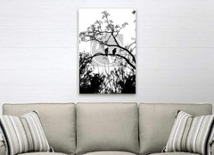 «Birds of a Feather» Nature Wall Art & Prints