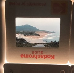1980’s Amateur 35mm Slide Lot Of 40 Summer Camp Wedding European Vacation