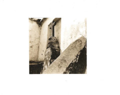 ADRIAN BODEK. Photography Silver Gelatin. Contemporary Art. Mexican Art