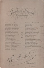 Cabinet Photo Königsfeld Baden Local View 1895