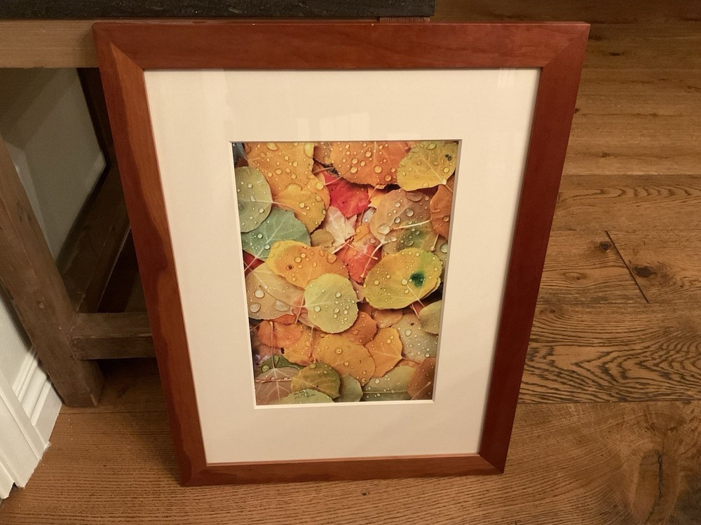 David Whitten Aspen Leaves, Utah 145/250 Signed & Framed