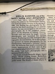 ORIGINAL Kjell B. Sandved NAUTILUS SHELL ART PHOTO Hand Signed L.E. Triple Mat