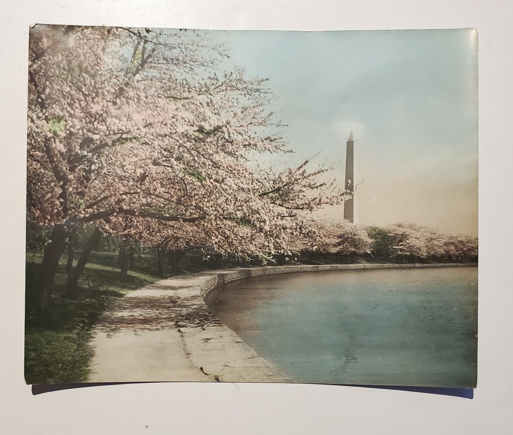 Royal Carlock / Washington Monument, Washington D.C. (hand painted photo)