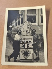 Photo polar bear dairy cream ice sign advertising enamel sign F4