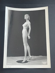 Rare Vintage Original Photo Siegel Stockman Mannequin Female Fetish Curiosa