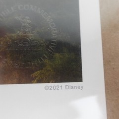 Disney Raya And The Last Dragon Collector’s Lithograph