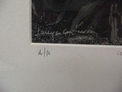 MATTED PHOTOGRAPHY MKR Barn Series #3 Florida 16 x 20 A/P by Larry Santucci