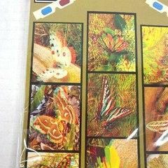 Butterflies Moths 3-D 3D Photographs Set Art Phantom Image Barry Rothstein New
