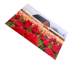 10×18 photography print 1 of 2 Tulips
