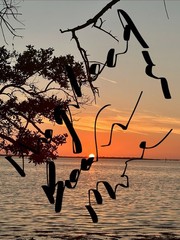 Sunset Photography