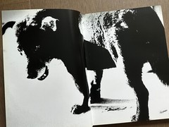 🎈MEGA RARE SIGNED! Daido Moriyama – Retrospective Since 1965, Limited Ed, Araki