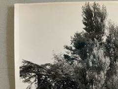 Jean Dieuzaide Original Photo Art Photography 1970 Toulouse XXe Garden Stamp