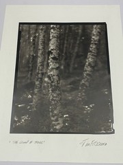 Jim Fitzgerald The Group of Three Signed Photograph Carbon Transfer