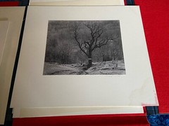 Lot of 5 MARK CITRET Signed Photos With Hardcover Case – Old Halcott Cemetery