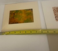 3 Fall Nature Photos Prints Mounted on Mat Board 8” Leaves Pumpkins