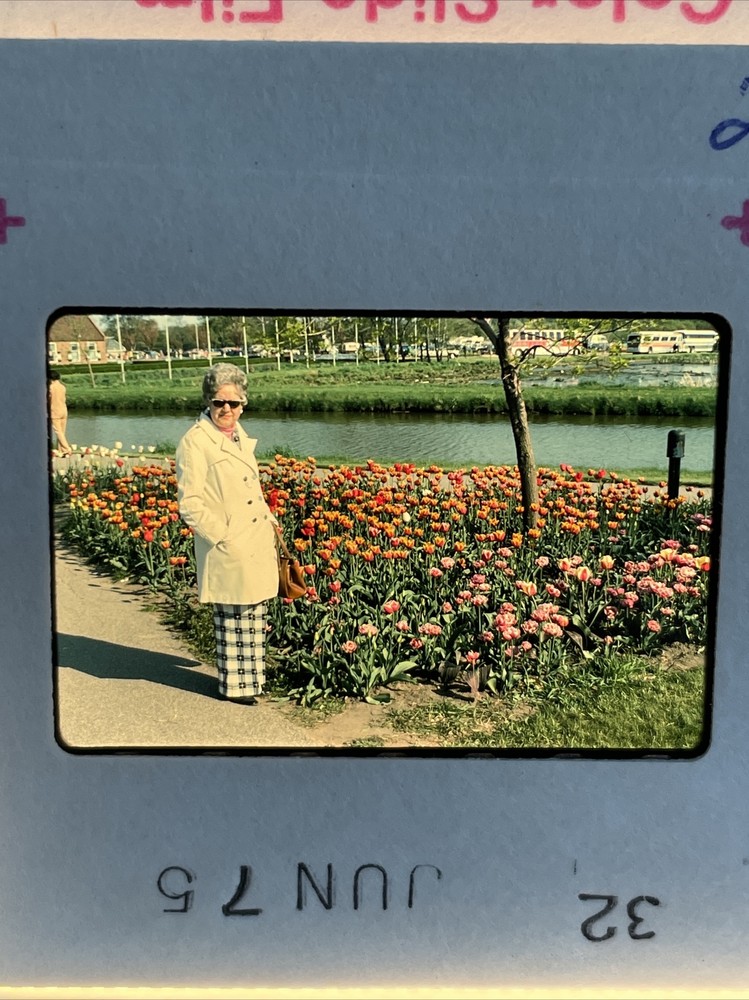 Lot Of 36 1970’s Family Summer Fun Tulips Kids Amateur 35mm Color Slides