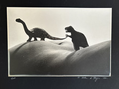 Allan I. Teger Bodyscapes Dinosaurs Photo Rare Limited Signed Numbered Framed