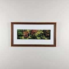 ART – Signed Gary Love Photograph 21.75×11.75 Framed Landscape Art – Maine Trees
